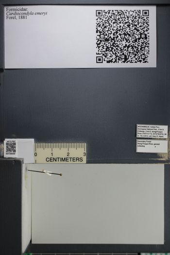 Media type: image;   Entomology 738000